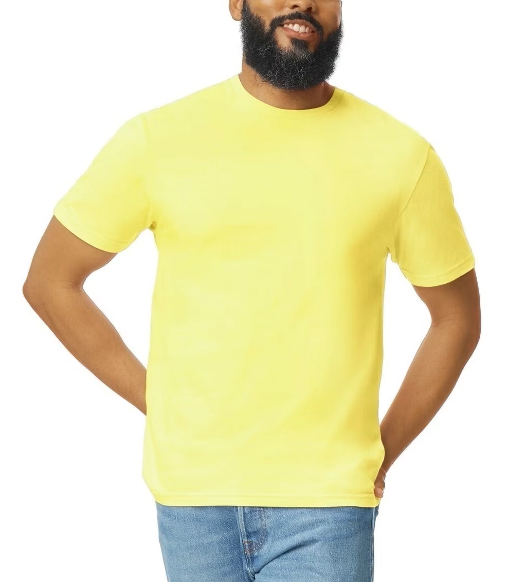 Gildan Soft Style Short Sleeve