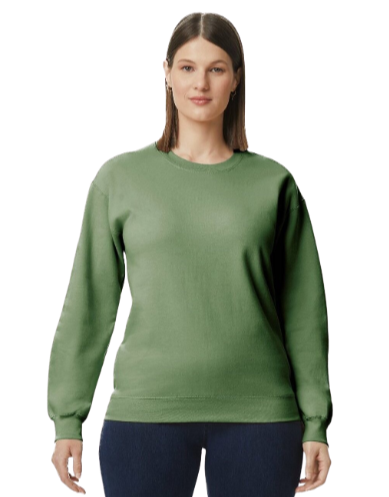 Gildan Soft Style Crewneck Sweatshirt