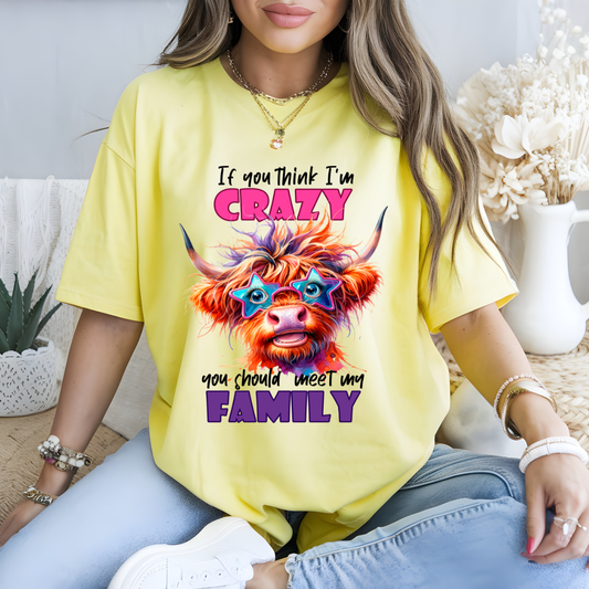 If You Think I'm Crazy Highland Cow DTF Transfer
