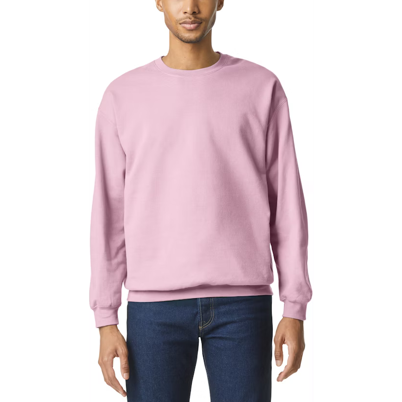 Gildan Soft Style Crewneck Sweatshirt Unisex