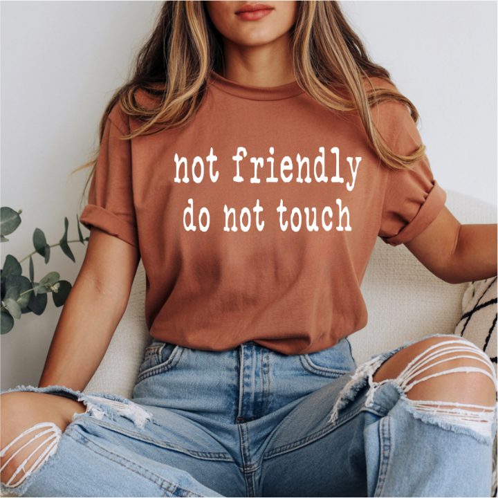 Not Friendly Do Not Touch DTF Transfer