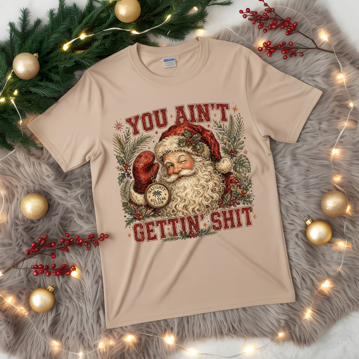 You Ain't Gettin' Shit DTF Transfer